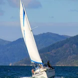 Sail the sea in the Marlborough Sounds